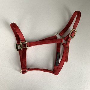 3/4-Inch Wide Nylon Yearling/Cob-Size Horse Halter